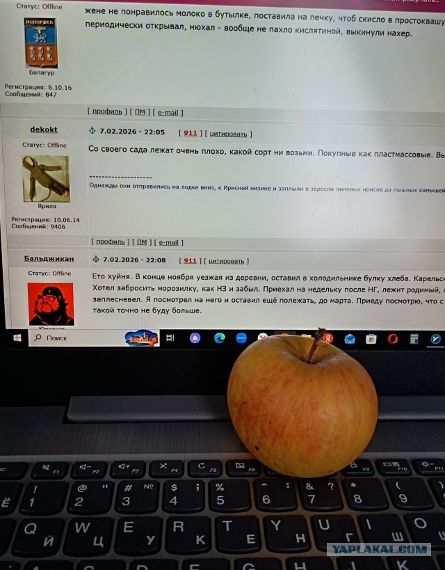 Яблоки.