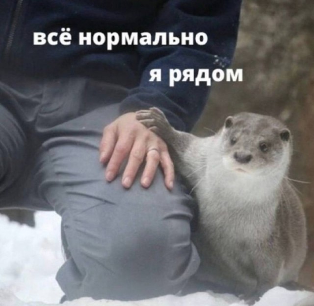 Субботние картинки