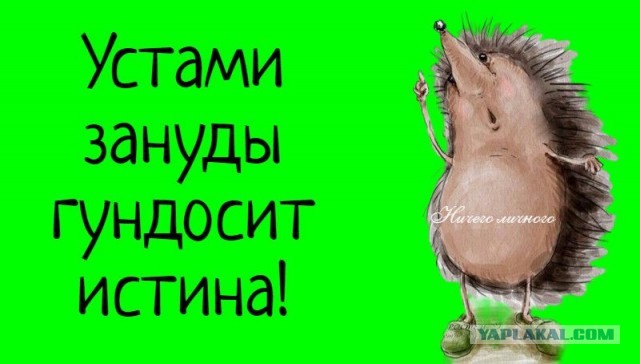Картинки для деградации 157 (разной степени свежести)