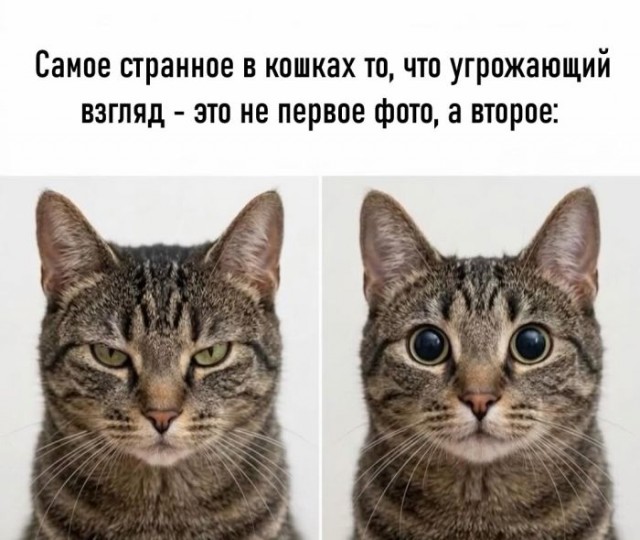 Субботние картинки