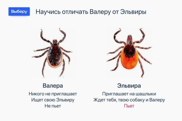 Отсутствие морально этических норм Vol.70