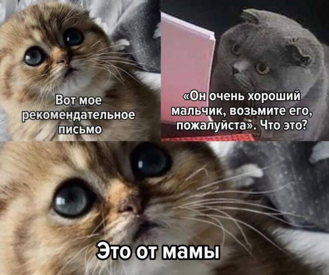 Немного картинок - продолжение 7