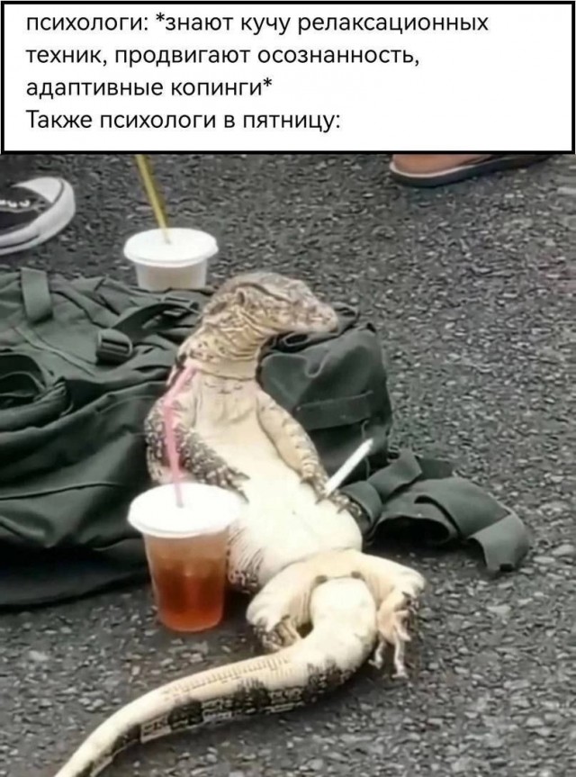 Психомемы-5