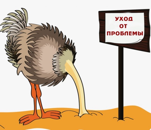 Депутат Денисенко предложил заблокировать VPN из-за дефицита топлива