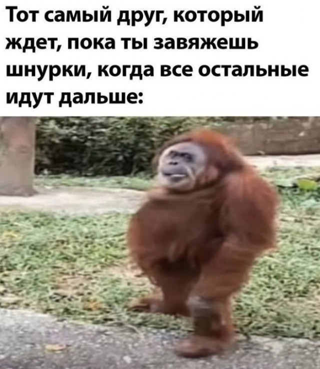 Пятничные бояны