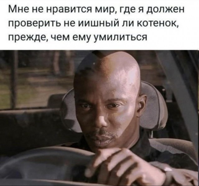 Заведи попугая, говорили они