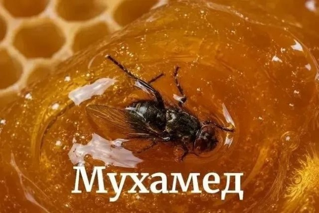 Картинки для деградации 252 (разной степени свежести)