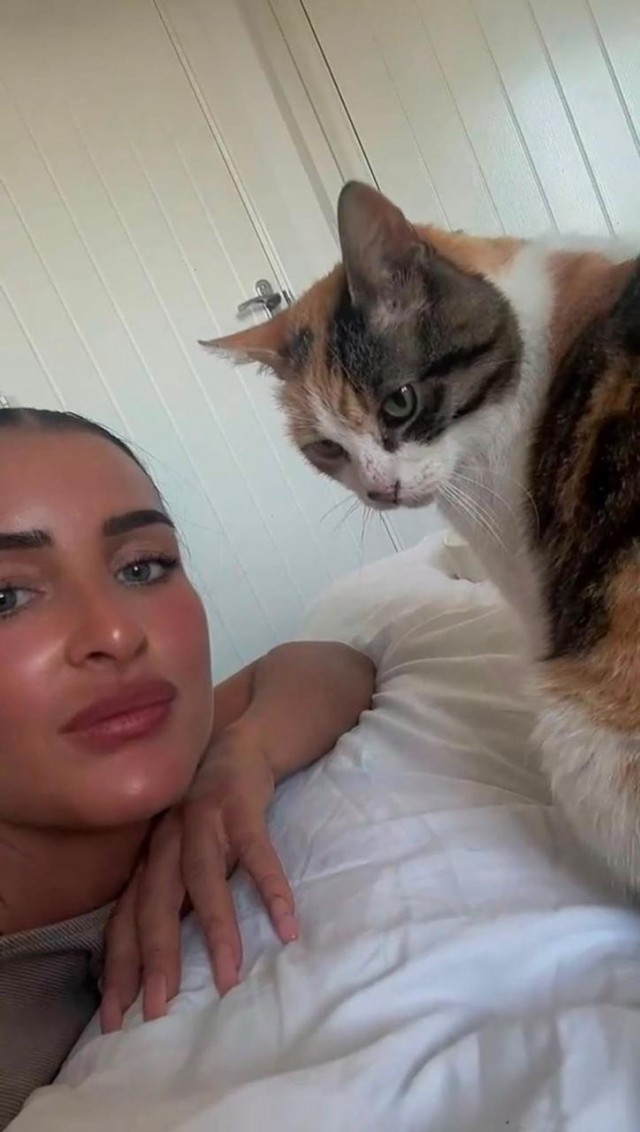 Кошка, которая пропала 10 лет назад, вернулась домой в день рождения своей хозяйки