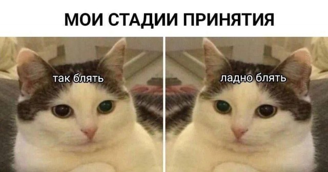 И так всю жизнь