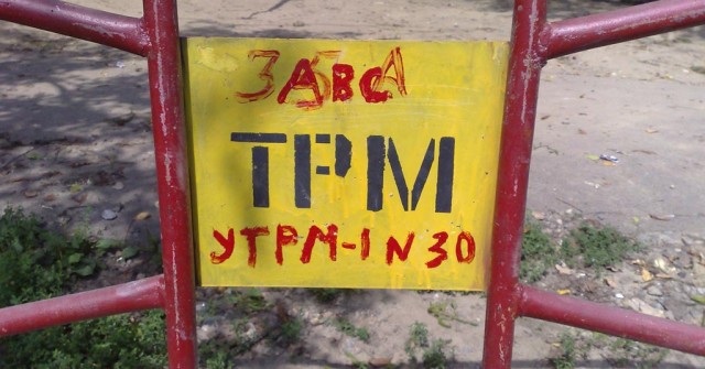 Жизнь вокруг меня