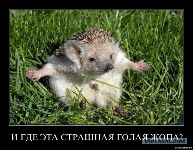 Франция как мелкая пакостница вводит санкции