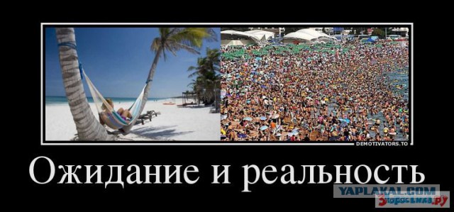 Ожидания VS Реальность