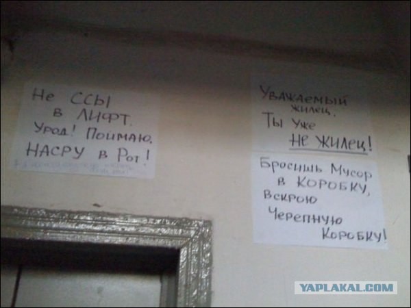 Обьявления должны быть такими!