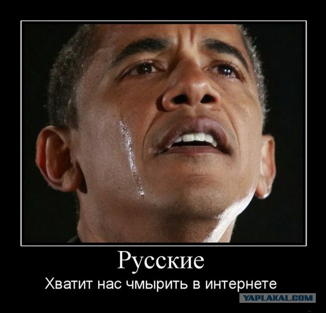 ЯП на канале Россия 24
