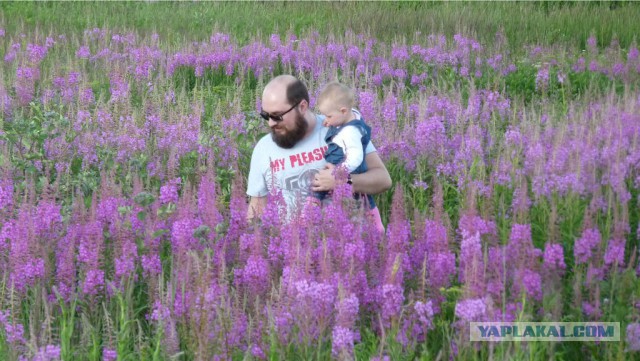 Славянский чай