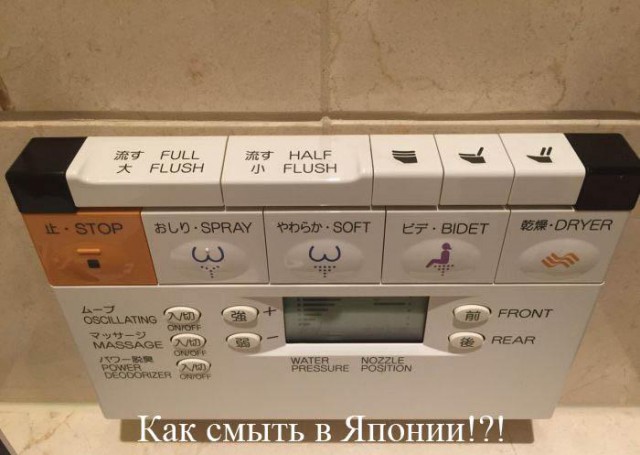 Весёлые картинки