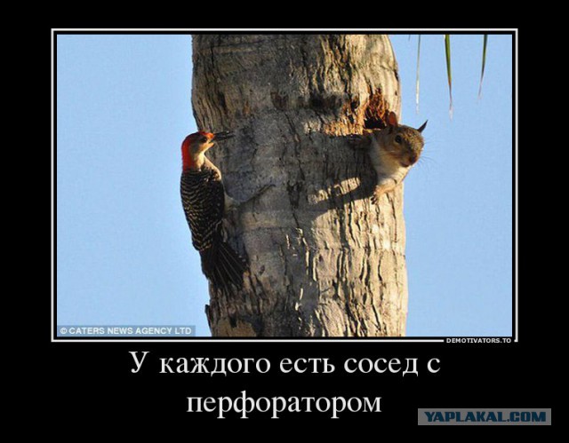 Как я представляю себе соседа по воскресеньям