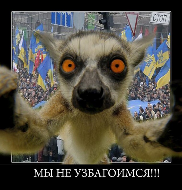 Рада 404-й жгет напалмом