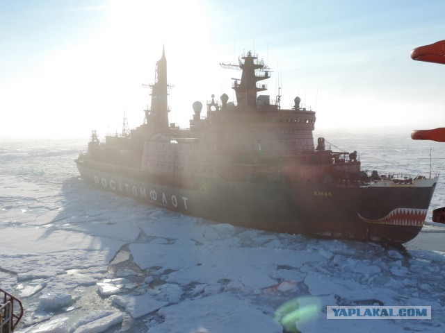 1-й рейс на вершину планеты в 2015 году