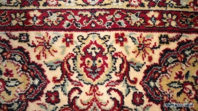 Ты снова упорот?