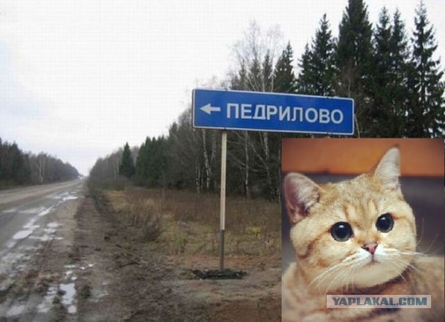 Подборка указателей населённых пунктов