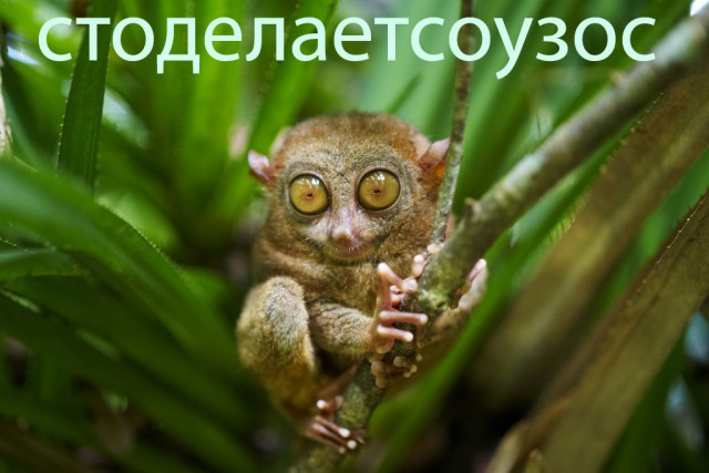 И тут что-то пошло не так