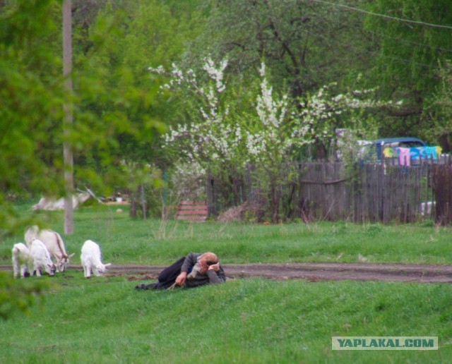 Подборка "тёплых, уютных, домашних" фотографий. Часть 2