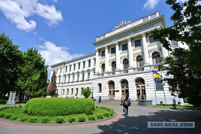Украина, Донбасс, Крым. Я узнал правду