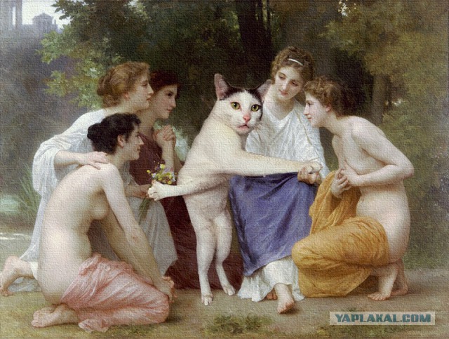 Фотожабы: Застрявшая кошка