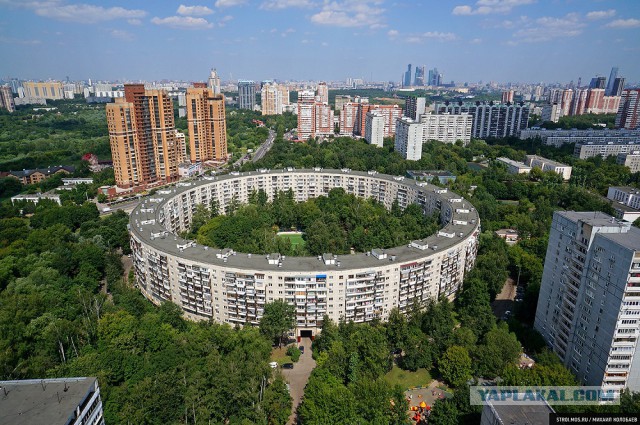 Дом на многоножках