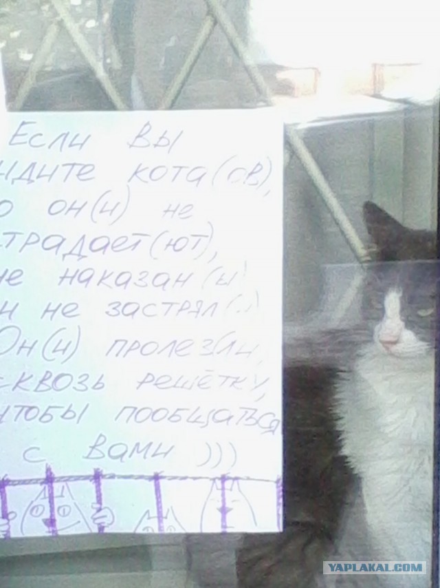 Живодерки из Хабаровска