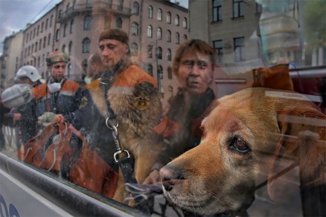 Подборка фотографий.
