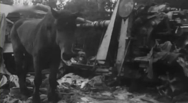 Берлинская операция. Апрель - май 1945 года.