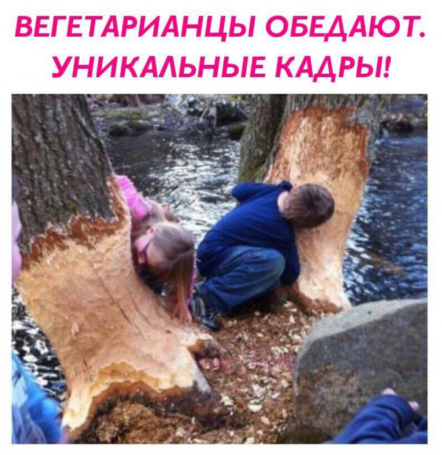 Интеллектуально-деградационный юмор на ЯПе