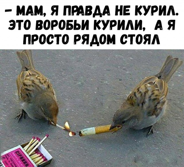 Странный юмор