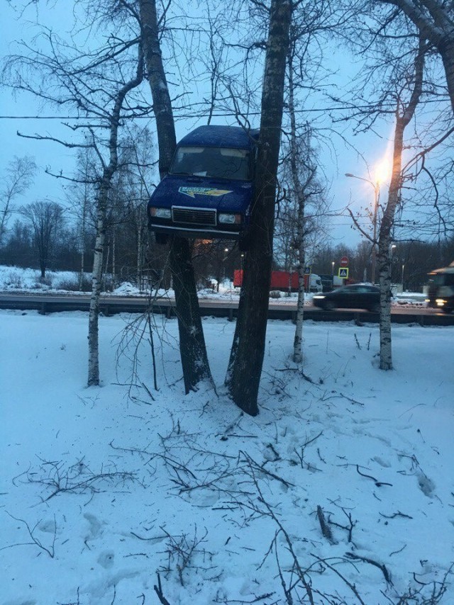Просто юмор (избранное)