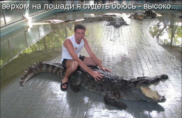 Прыжок аллигатора в лодку с туристами