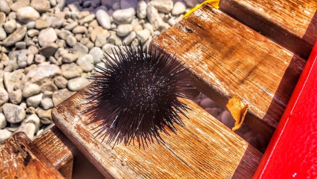 Неожиданные находки после шторма!