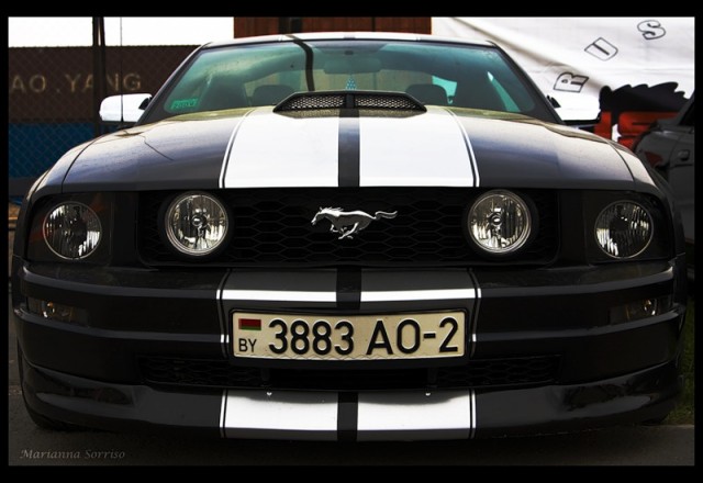 ДР mustang club