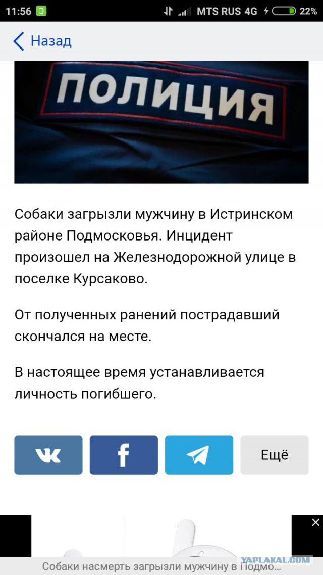В Подмосковье собаки насмерть загрызли 19-летнего молодого человека