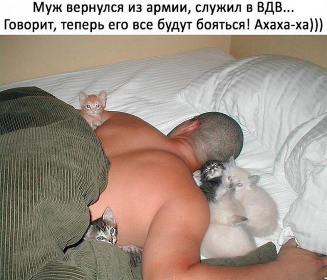 Картинки по-приколу