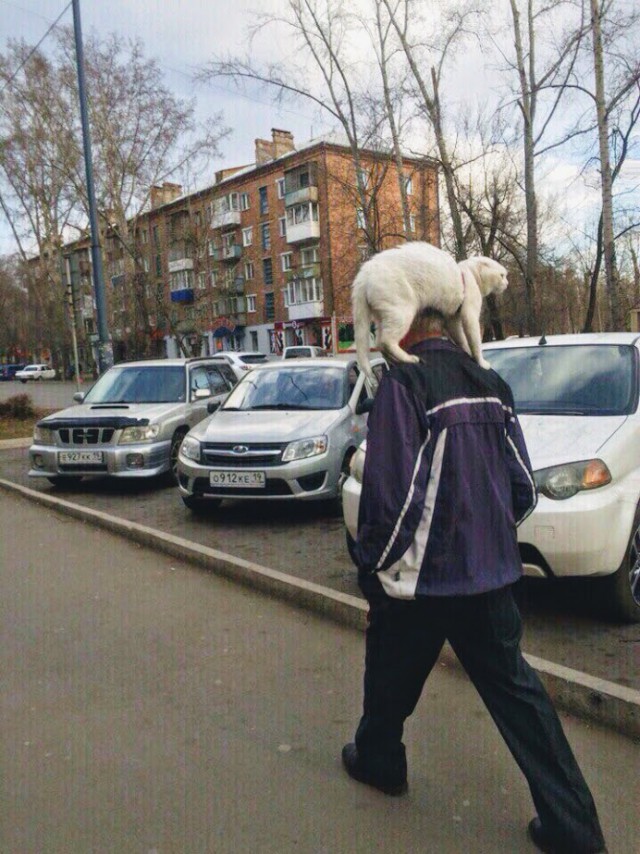 Немного милоты