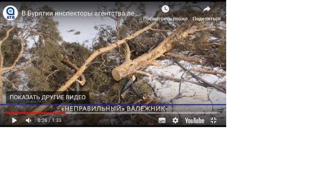 «Неправильный» валежник