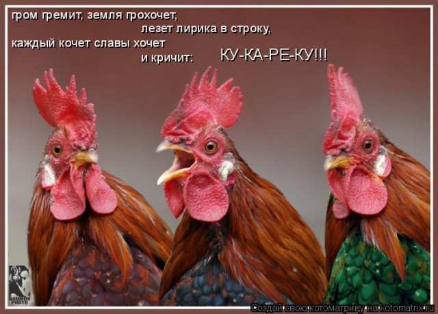 Вот с*ка! Бросил пить и ушёл к другой
