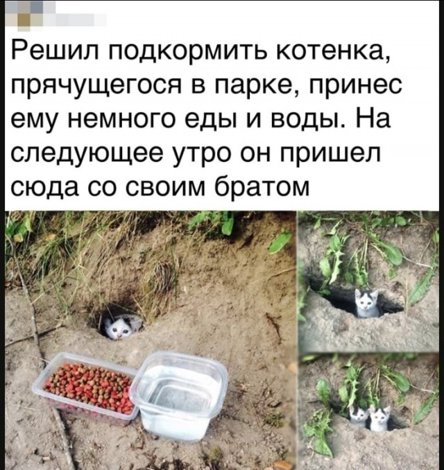 Небольшая подборочка для настроения