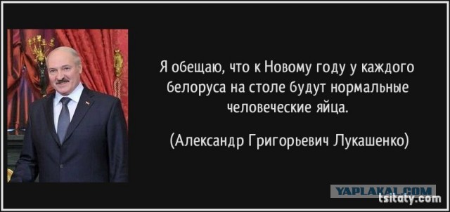 Аналитики обеспокоены чрезмерным потреблением яиц россиянами