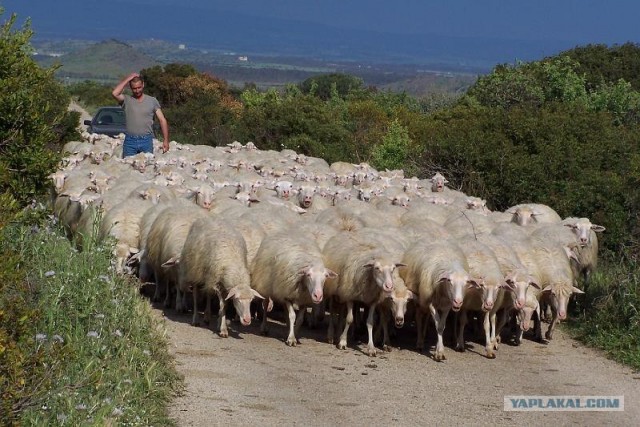 Потреблядство "Медиа Маркт" в Белгороде