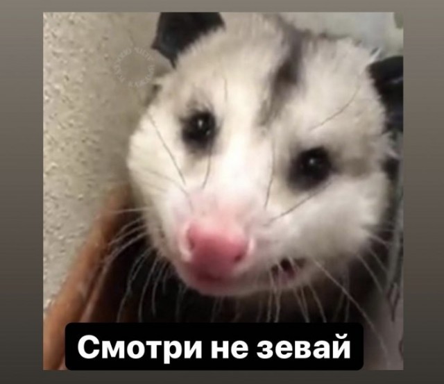 Бредзона 23.04.20