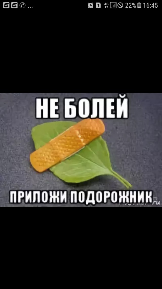 Немного картинок в этот четверг