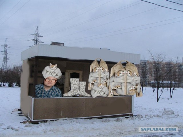 Битва Фотожаберов №7 Команда Wolf05